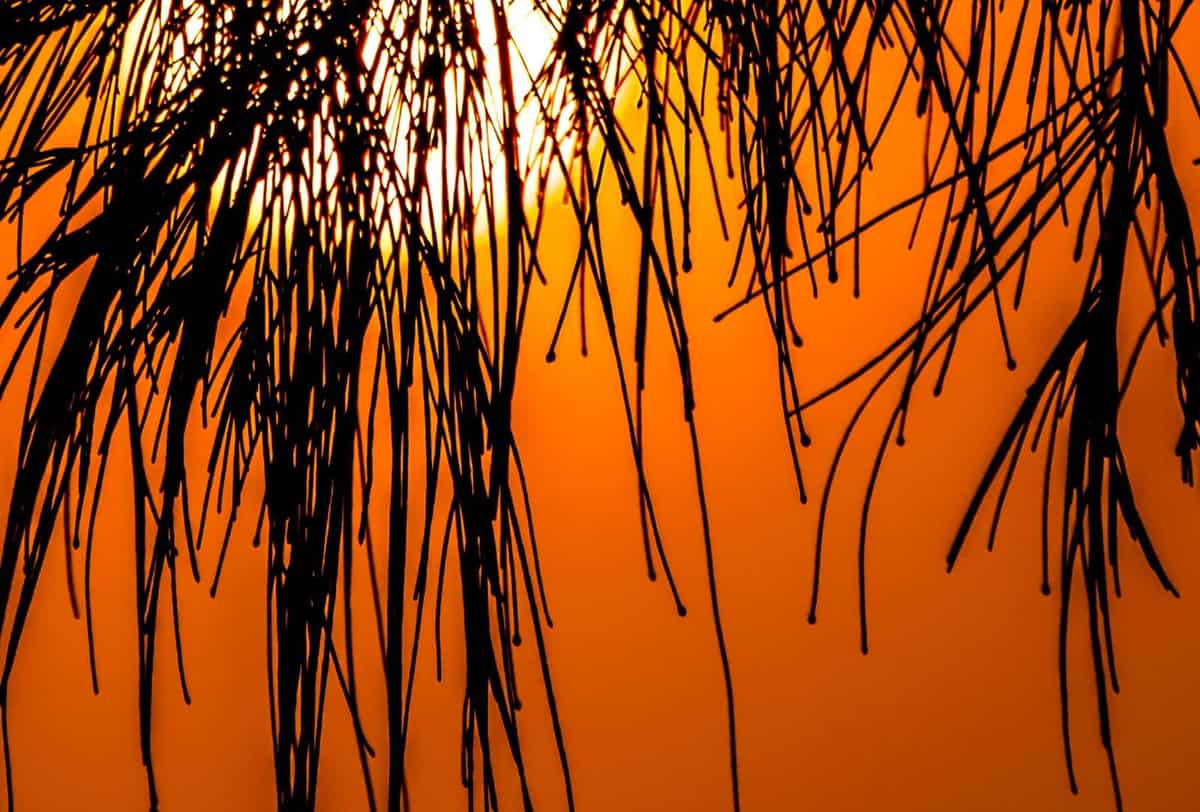 Sunrise on the Beira coast