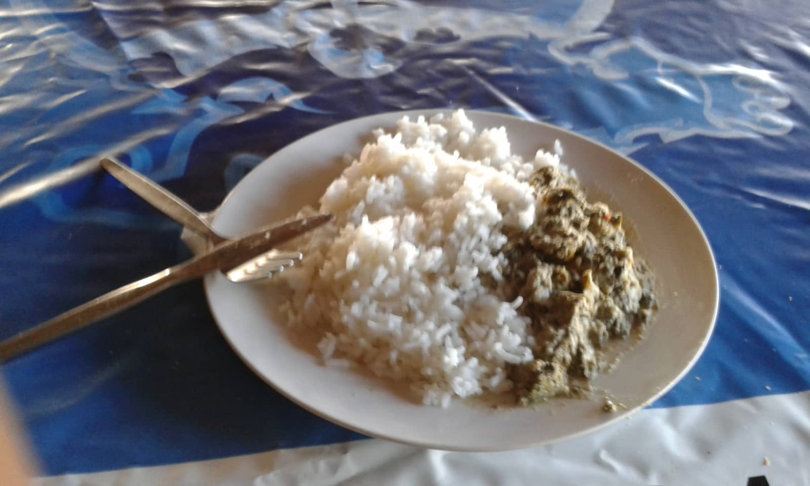 Matapa dish with fish in Mozambique