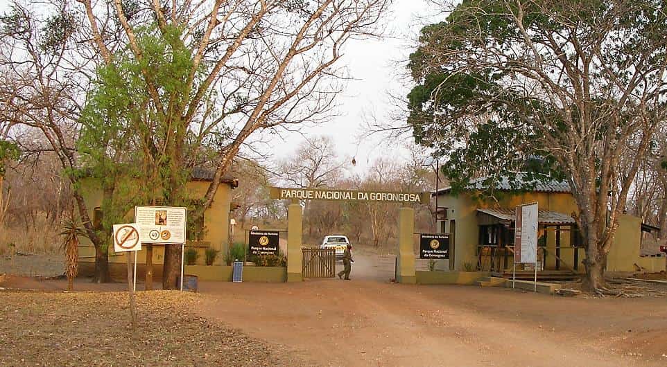 Conservation landscape in Gorongosa National Park